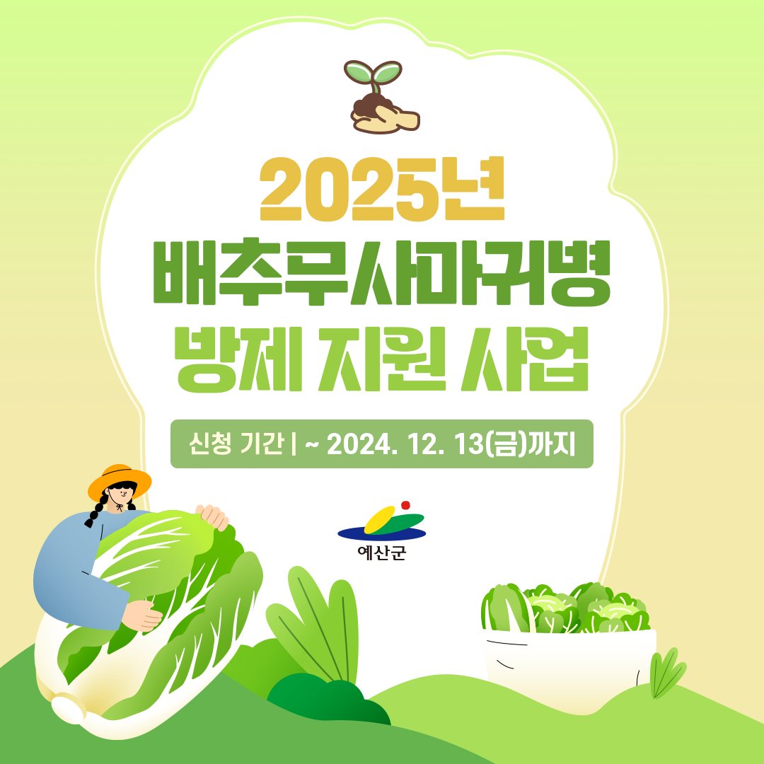 2025년 배추 무사마귀병 방제 지원 사업